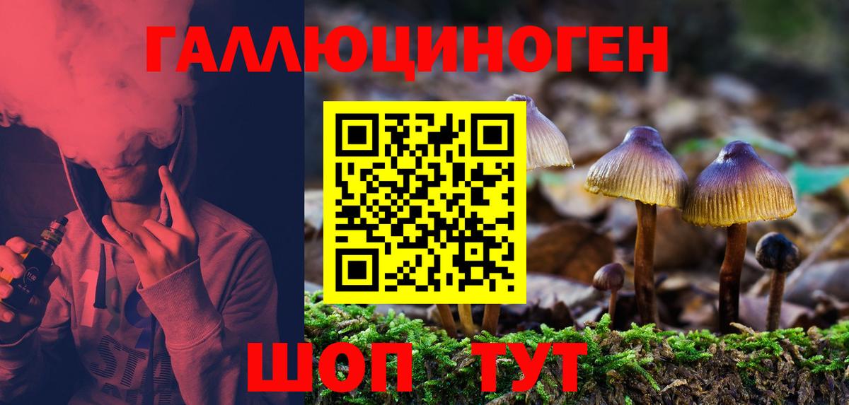 Москва  Псилоцибиновые грибы Cubensis  Вход с VPN  Псилоцибиновые грибы мицелий 