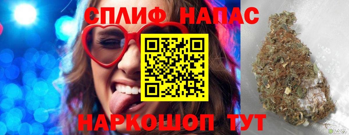 Каннабис индика Москва
